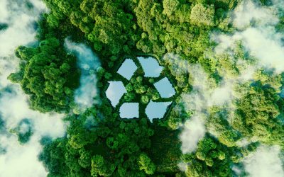How the Gandhian Philosophy Aligns with Sustainability Today